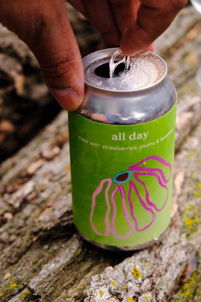 All Day (24-pack)