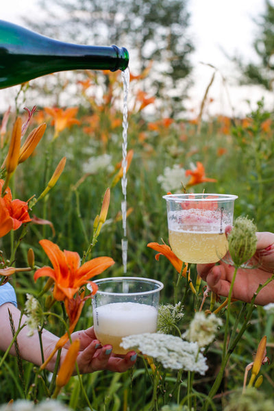 Good Evening (12-pack)