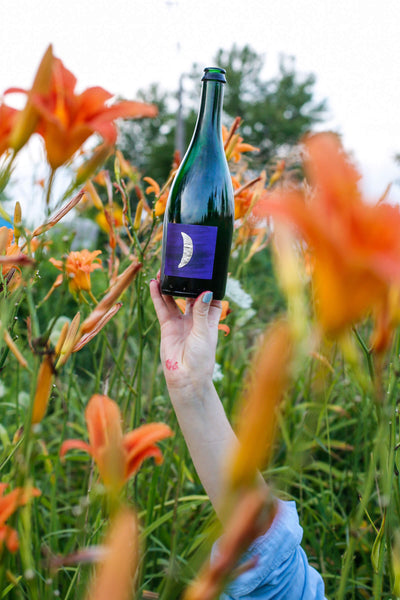 Good Evening (12-pack)