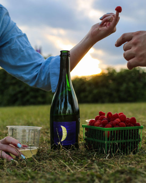 Good Evening (12-pack)