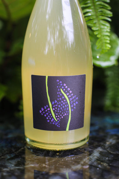 Ostara: Hyssop (12-pack)