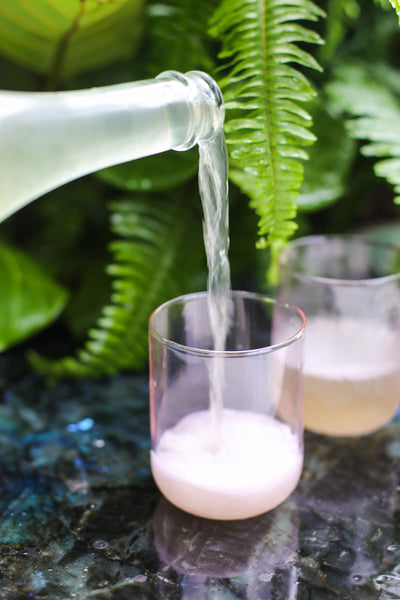 Ostara: Hyssop (12-pack)