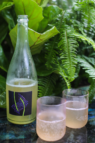 Ostara: Hyssop (12-pack)