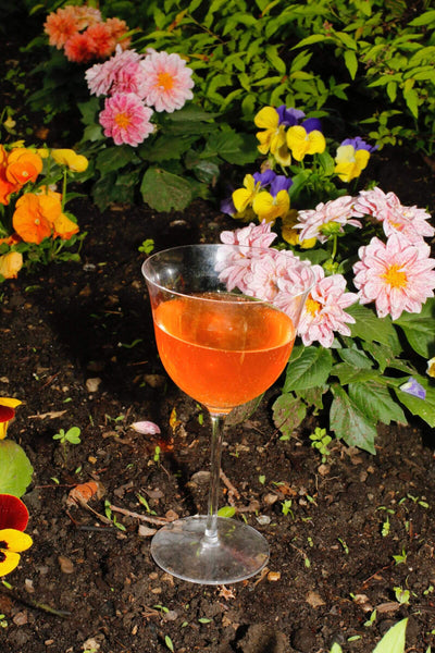 Spring