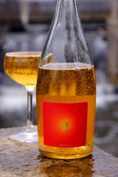 Murmurations (12-pack)