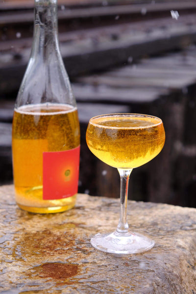 Murmurations (12-pack)