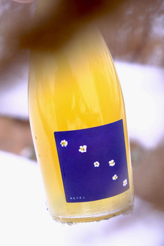 When the Apricots Bloom