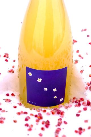 When the Apricots Bloom