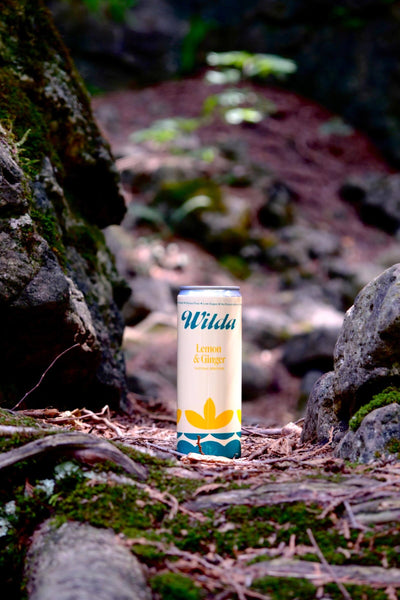 Wilda - Lemon & Ginger Natural Spritzer (24-pack)