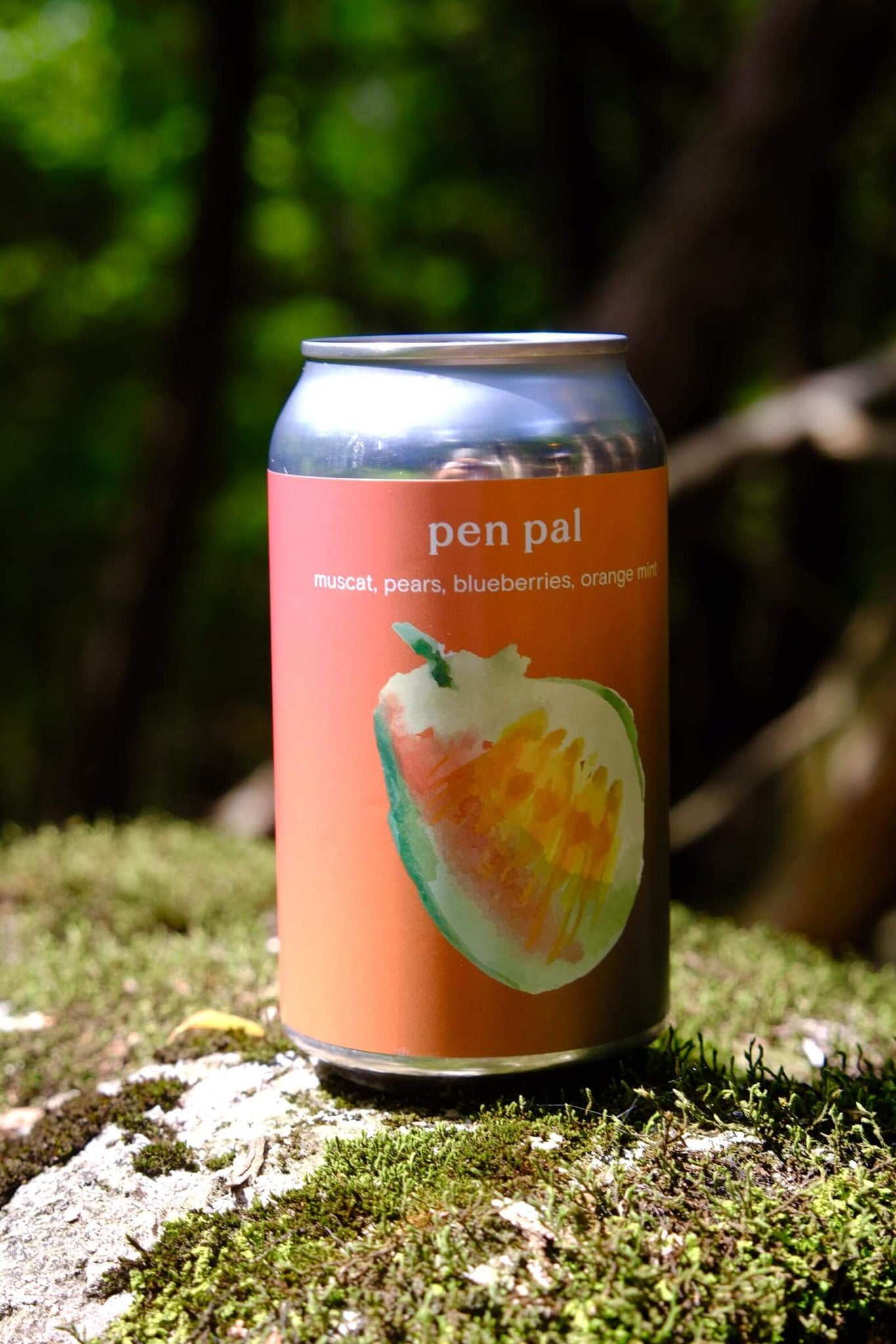 Pen Pal