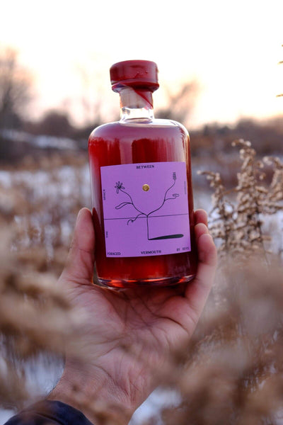 The Space Between Words