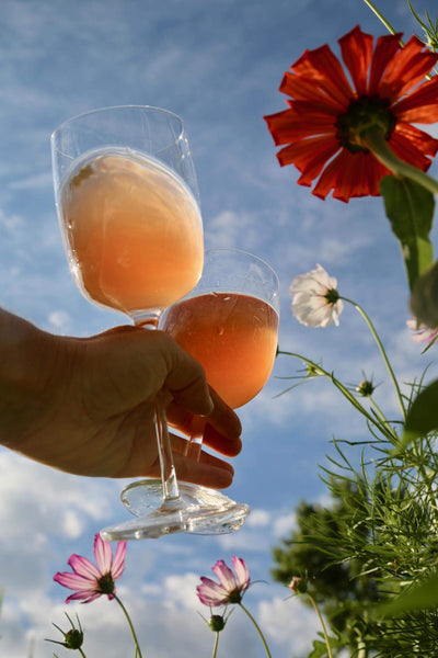 Two Friends Rosé