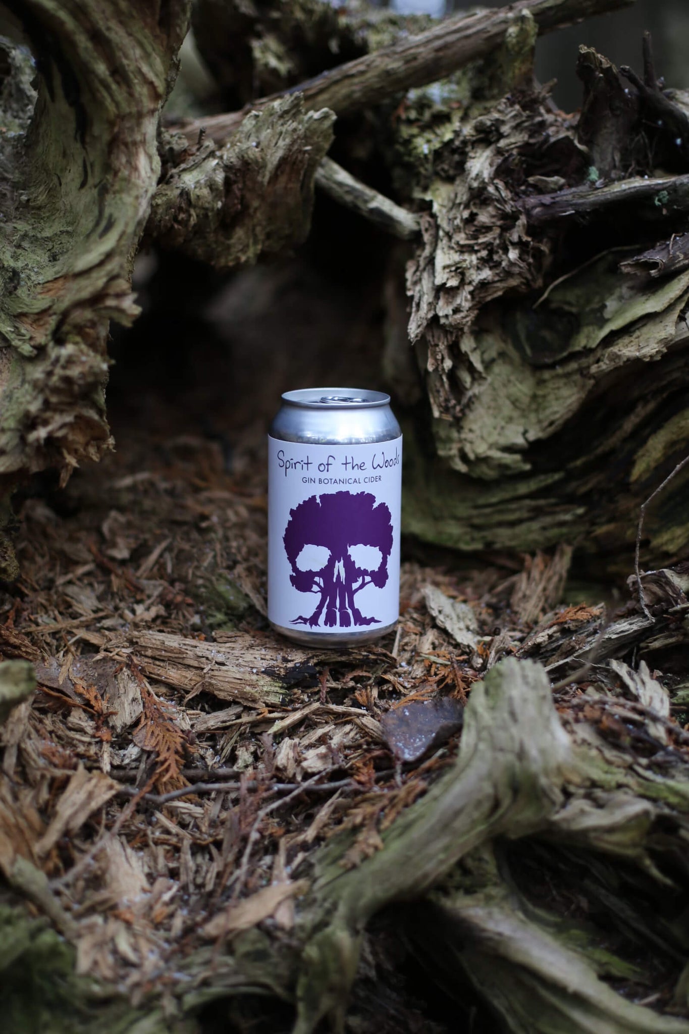 Spirit of the Woods