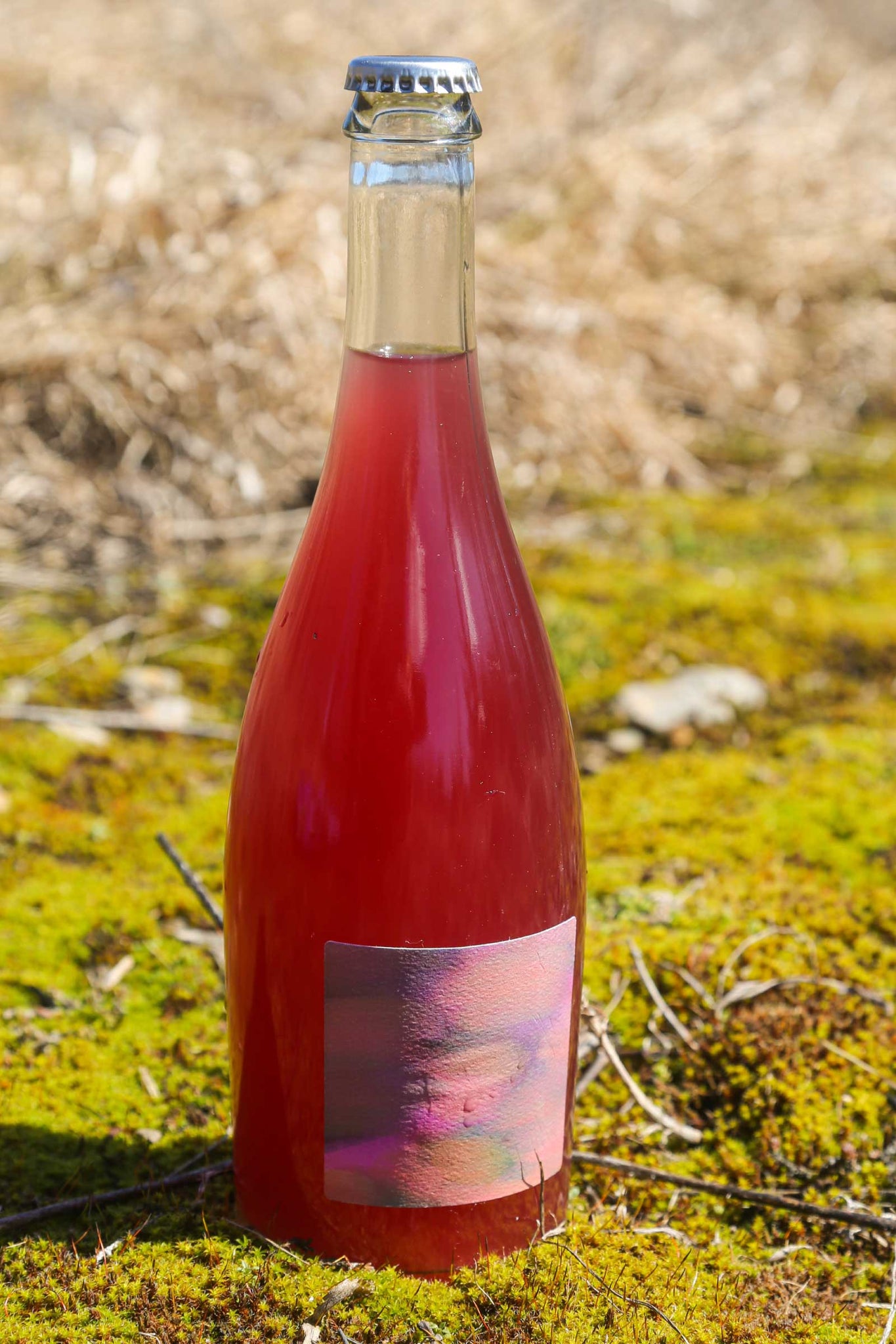 Cab Franc Piquette
